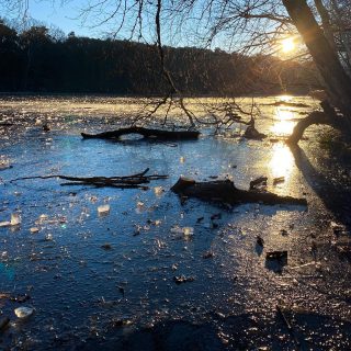 Ice, ice, baby! Grüße von der Krummen Lanke #nature #lake #winter #outdoors #berlin