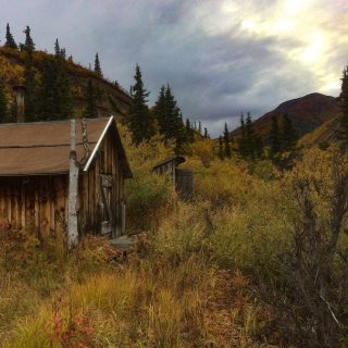Cabin life Alaska! Gold diggers hut from 1918. Would you dare to stay for a night?

#alaska #outdoors #cabinlife #golddigger #survival #moose #outback #bestfriend #adventuretime